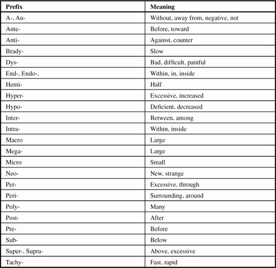 Medical Terminology Prefixes Worksheet Best Of Medical Terminology Prefixes Worksheet – Match Problems