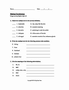 Medical Terminology Prefixes Worksheet Fresh Printable Medical Terminology Crossword Puzzles