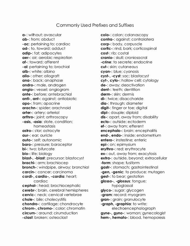 Medical Terminology Prefixes Worksheet Lovely 15 Best Images About Chapter 1 Major themes Of Anatomy