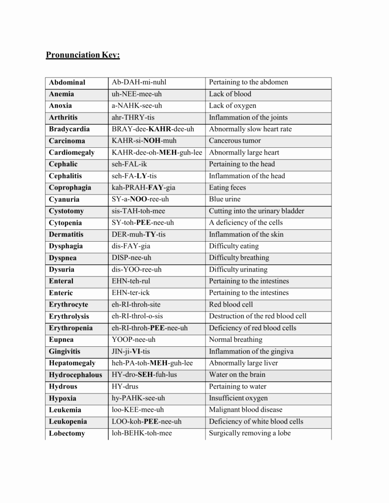 Medical Terminology Prefixes Worksheet Lovely Medical Terminology Prefixes and Suffixes Worksheets