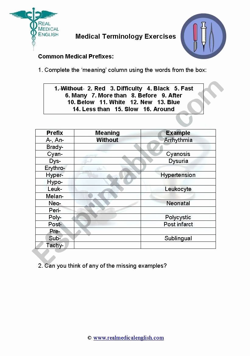 Medical Terminology Prefixes Worksheet Unique English Worksheets 2 Medical Terminology Prefixes