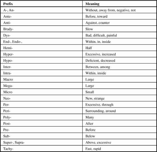 Medical Terminology Prefixes Worksheet Unique Medical Terminology Worksheet