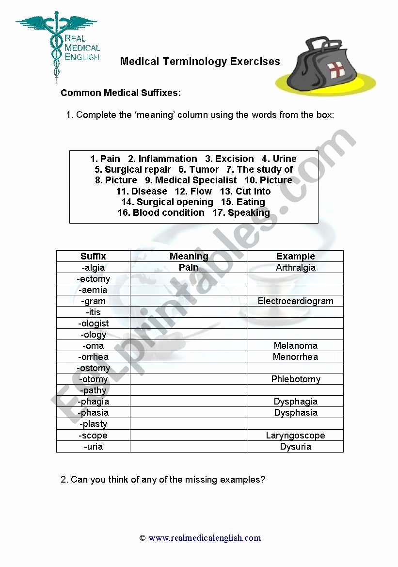Medical Terminology Suffixes Worksheet Awesome 4 Medical Terminology Suffixes Esl Worksheet by