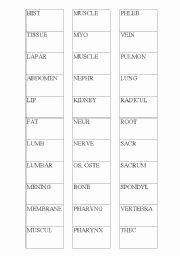 Medical Terminology Suffixes Worksheet Awesome English Teaching Worksheets Suffixes