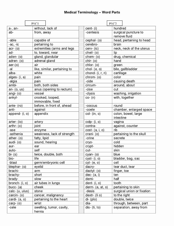 Medical Terminology Suffixes Worksheet Awesome Medical Terminology Flash Cards