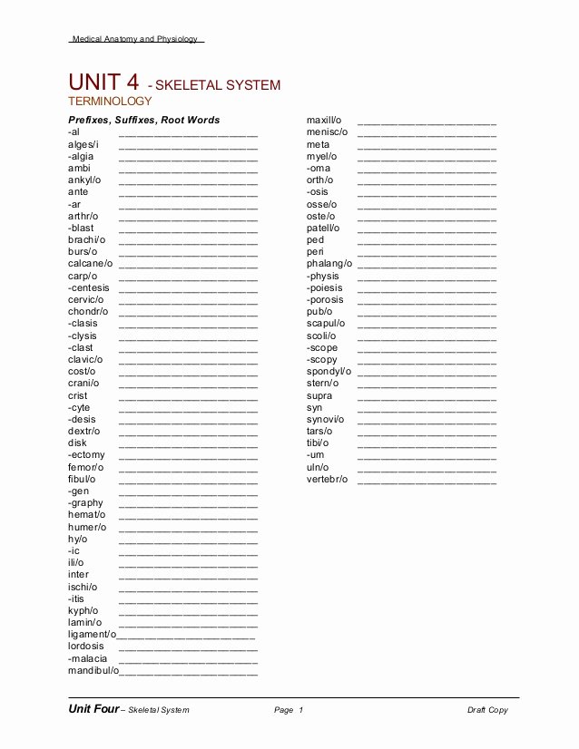 Medical Terminology Suffixes Worksheet Luxury Doc