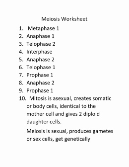 Meiosis Matching Worksheet Answer Key Best Of Mitosis Webquest