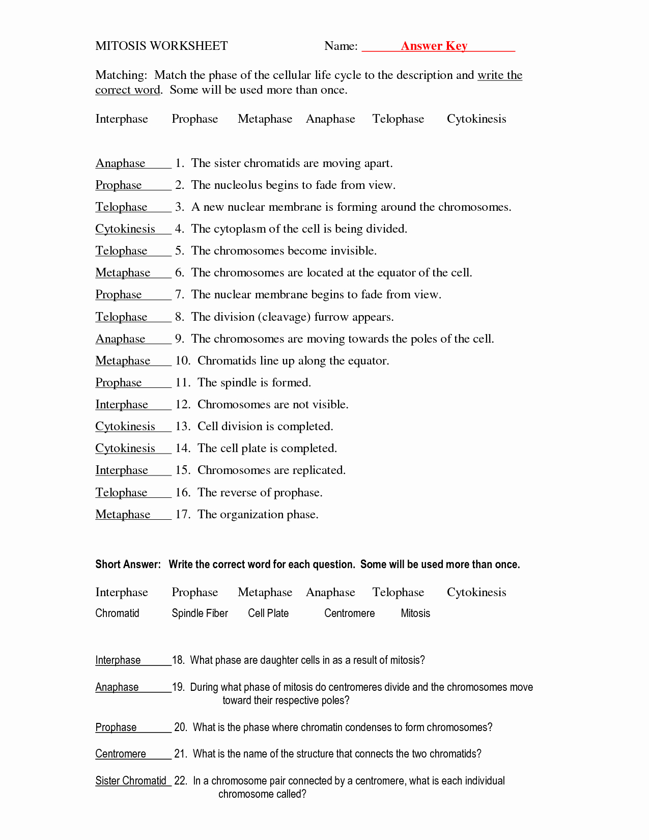Meiosis Matching Worksheet Answer Key Lovely 13 Best Of the Cell Cycle Worksheet Study Guide