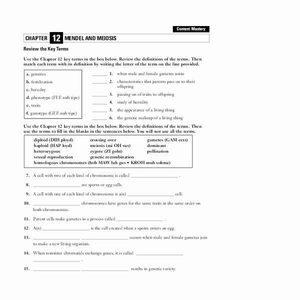 Meiosis Worksheet Vocabulary Answers Beautiful Mendel and Meiosis Worksheet for 9th Higher Ed