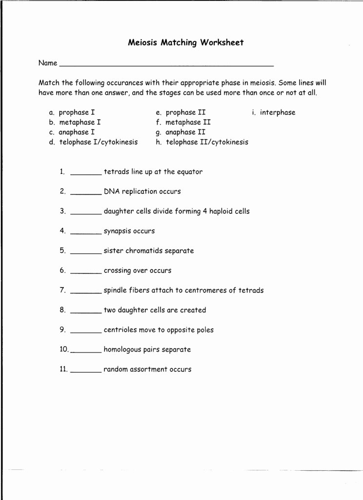 50 Meiosis Worksheet Vocabulary Answers 