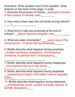 Meiosis Worksheet Vocabulary Answers Best Of Mitosis Worksheet