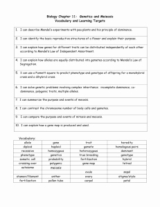 Meiosis Worksheet Vocabulary Answers Elegant Snurfle Meiosis and Genetics 2 Worksheet