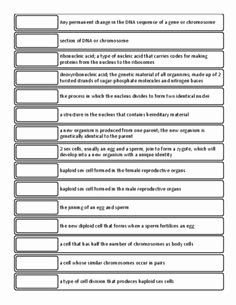 Meiosis Worksheet Vocabulary Answers Fresh Cell Division Mitosis and Meiosis Crossword Puzzle