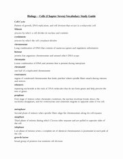 Meiosis Worksheet Vocabulary Answers Inspirational 13 Best Of the Cell Cycle Worksheet Study Guide