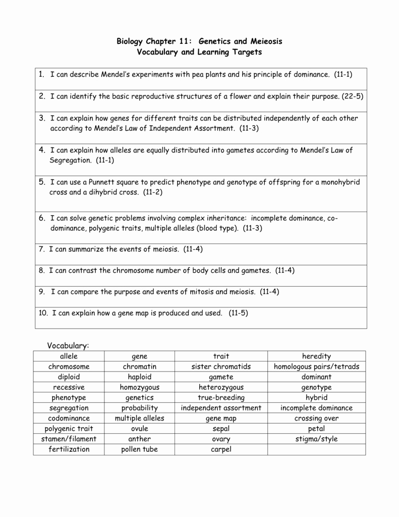 Meiosis Worksheet Vocabulary Answers Inspirational Worksheet Meiosis Vocabulary Worksheet Grass Fedjp