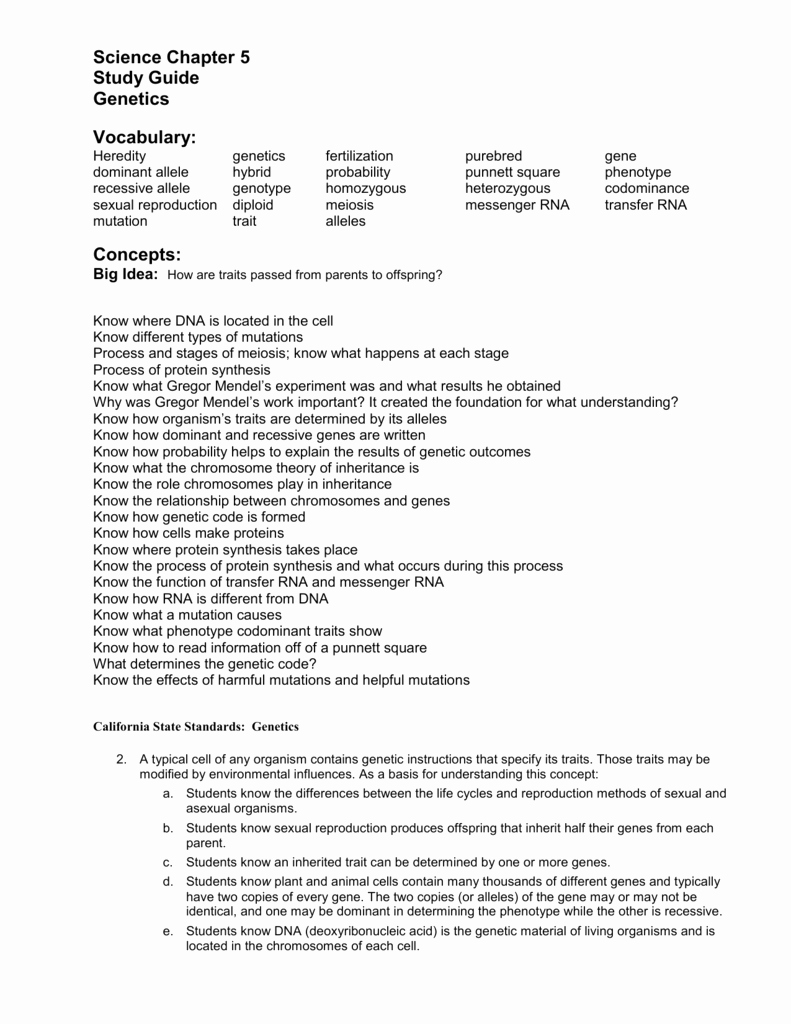 50 Meiosis Worksheet Vocabulary Answers 