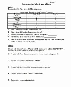 Meiosis Worksheet Vocabulary Answers New Cell Division Mitosis and Meiosis Crossword Puzzle