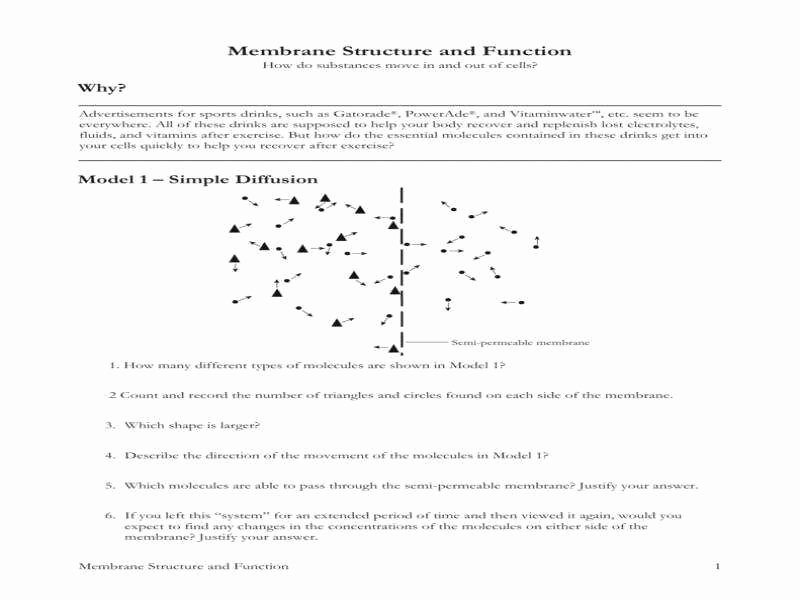 Membrane Structure and Function Worksheet Awesome Cell Membrane and tonicity Worksheet