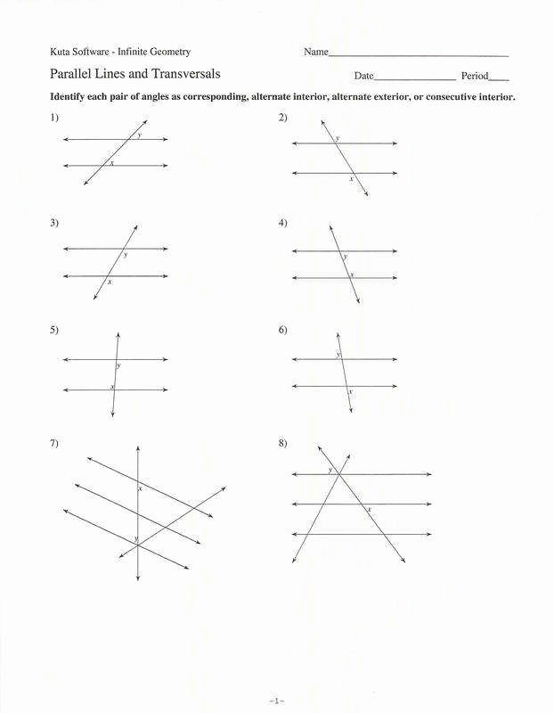 Membrane Structure and Function Worksheet Lovely Function Worksheets