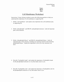 Membrane Structure and Function Worksheet Luxury Membrane Structure Pogil™ Activities for Ap Biology What