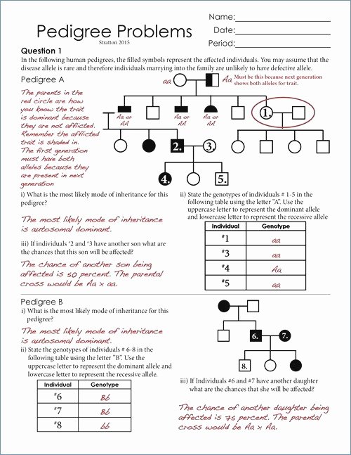 50 Mendelian Genetics Worksheet Answer Key