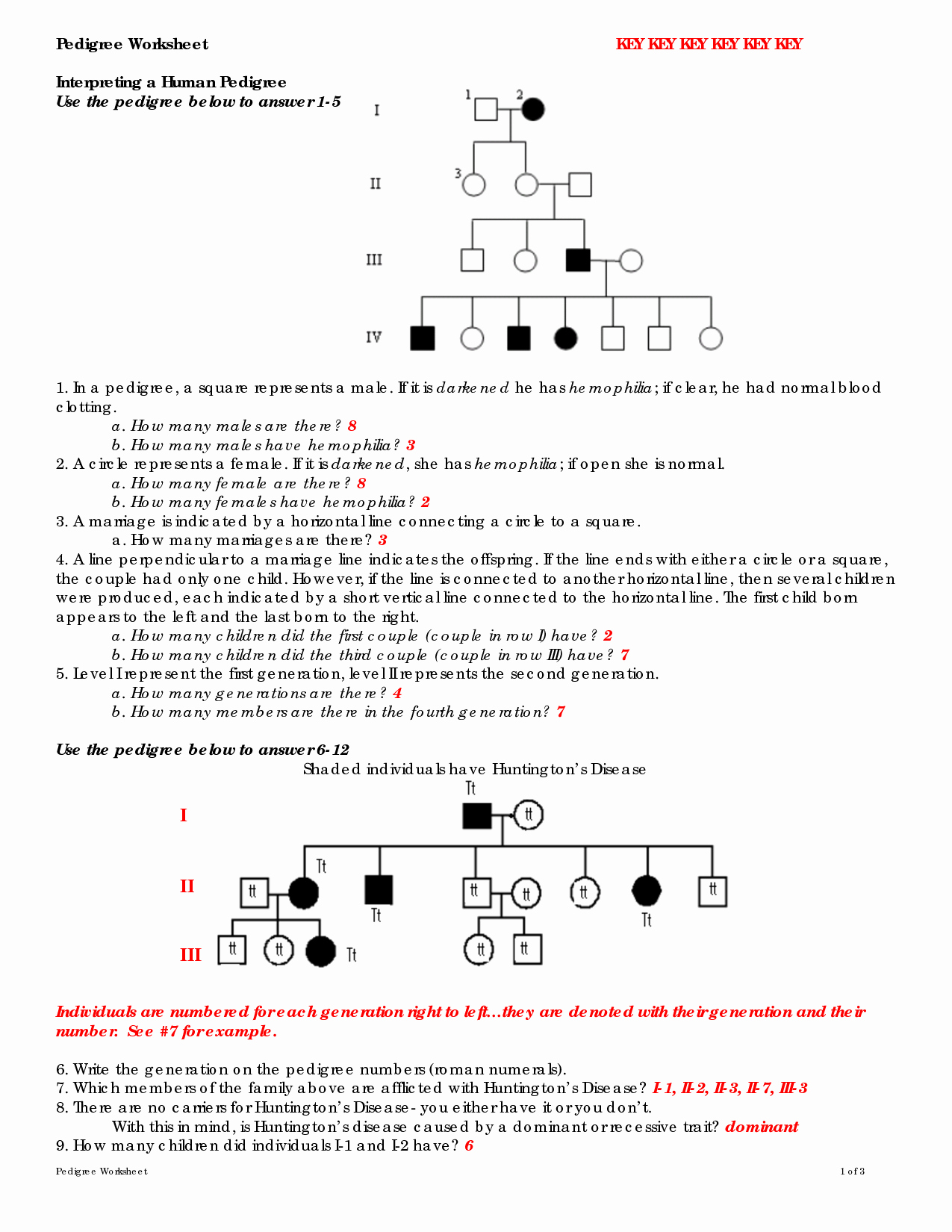 50 Mendelian Genetics Worksheet Answer Key