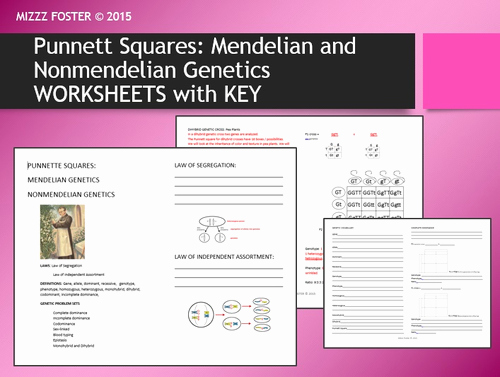 Mendelian Genetics Worksheet Answers Lovely Genetics Punnett Squares Mendel Non Mendelian Student