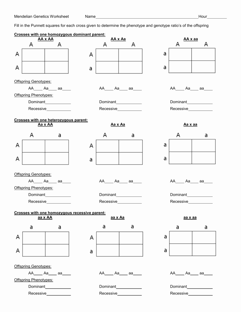 50 Mendelian Genetics Worksheet Answers