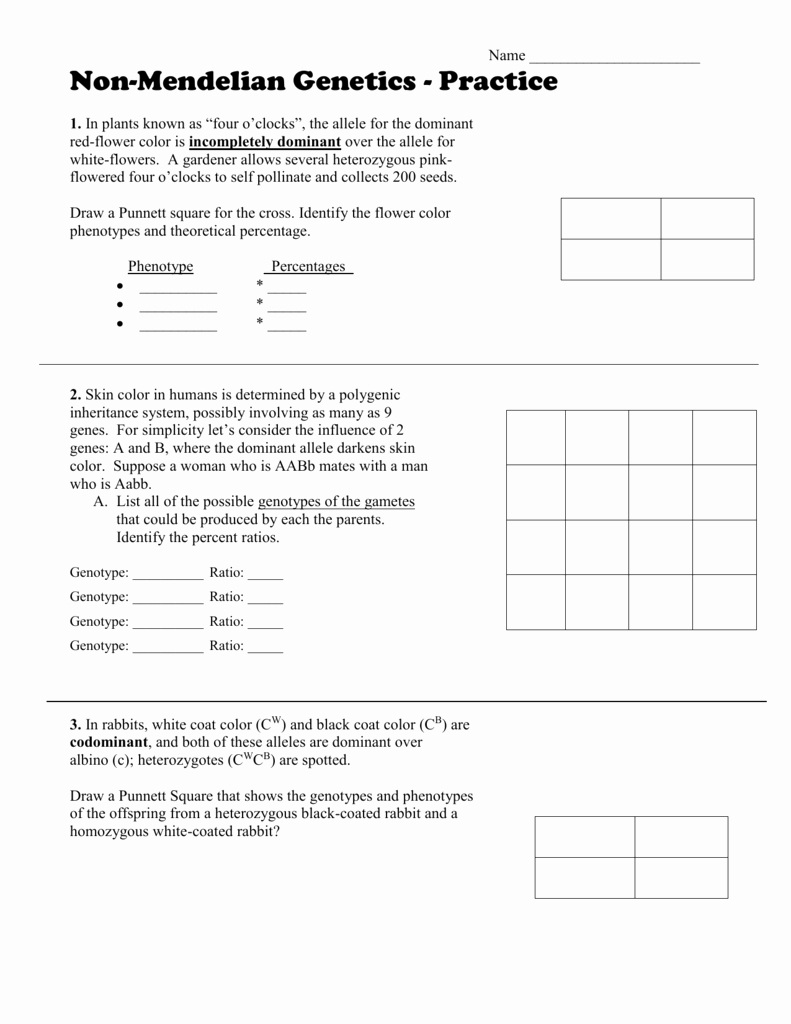 50 Mendelian Genetics Worksheet Answers