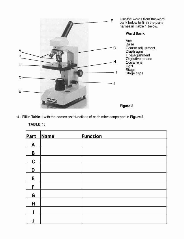 Microscope Parts and Use Worksheet Awesome Parts A Microscope Worksheet