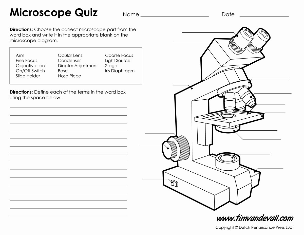 Microscope Parts and Use Worksheet Beautiful Microscope Diagram Labeled Unlabeled and Blank