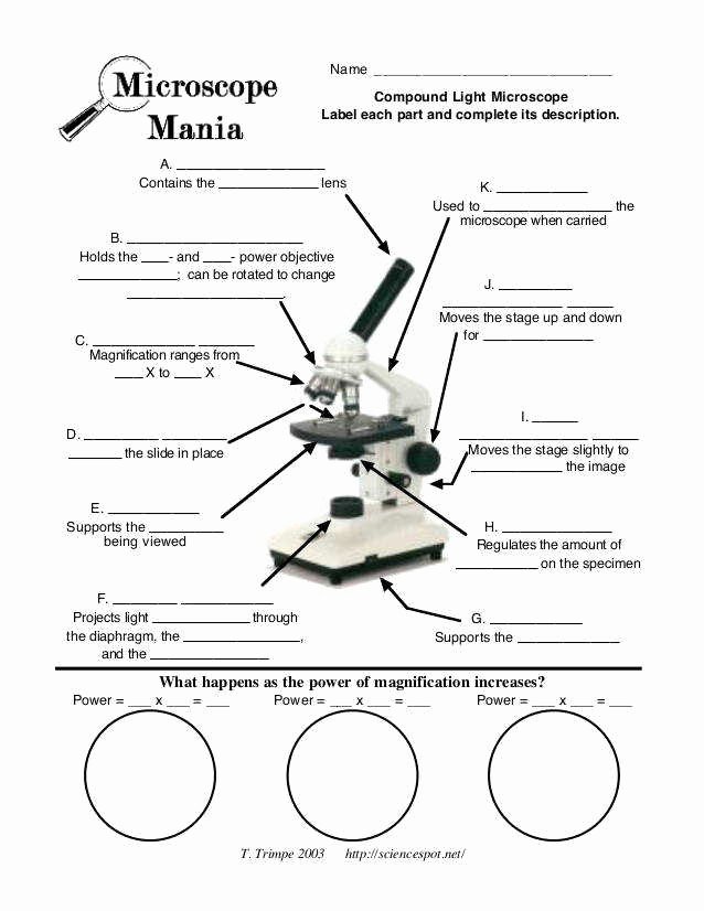 Microscope Parts and Use Worksheet Beautiful Parts A Microscope Worksheet