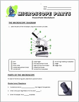 Microscope Parts and Use Worksheet Best Of Microscope Parts Powerpoint Worksheet Editable by