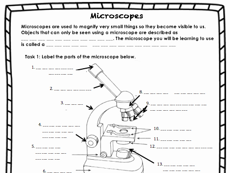 Microscope Parts and Use Worksheet Fresh Parts Of A Microscope Worksheet by Charissa87