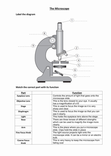 Microscope Parts and Use Worksheet Fresh the Microscope by Rosario1 Teaching Resources Tes