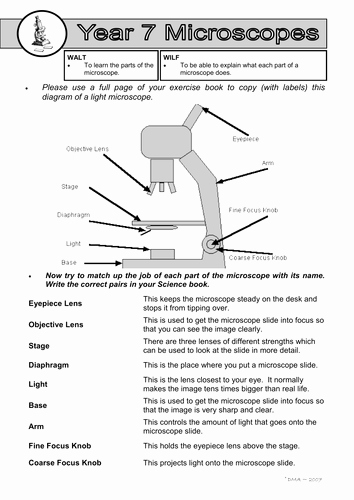 Microscope Parts and Use Worksheet Inspirational Parts Of A Microscope Worksheet by Dazayling