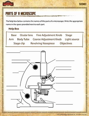 Microscope Parts and Use Worksheet Lovely Free Parts Of A Microscope Label Worksheet Homeschool