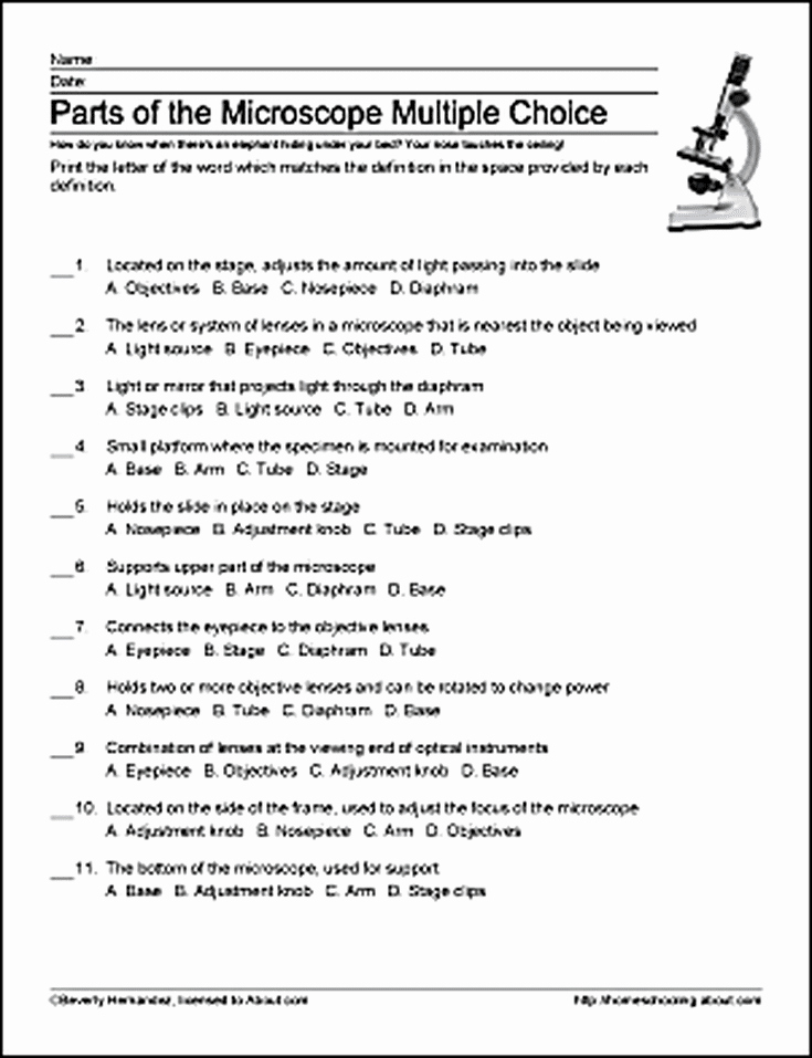 Microscope Parts and Use Worksheet Lovely Parts Of the Microscope Printables Word Searches and