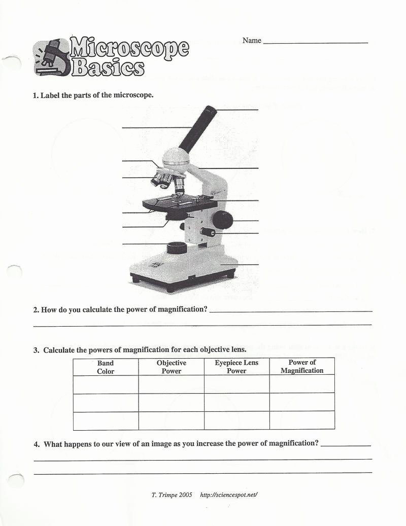 Microscope Parts and Use Worksheet Luxury Parts A Microscope Worksheet for Kids the Best