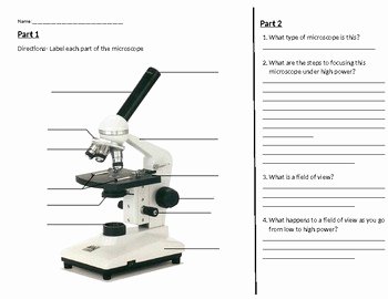 Microscope Parts and Use Worksheet Luxury Pound Microscope Worksheet by Lauren Stewart