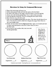 Microscope Parts and Use Worksheet New Free Parts Of A Microscope Label Worksheet