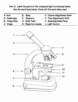 Microscope Parts and Use Worksheet New Parts Of A Microscope Teaching