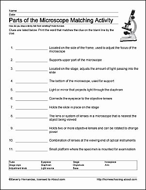Microscope Parts and Use Worksheet New Parts Of the Microscope Printables Word Searches and