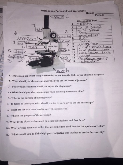 Microscope Parts and Use Worksheet Unique solved Microscope Parts and Use Worksheet Microscope Part