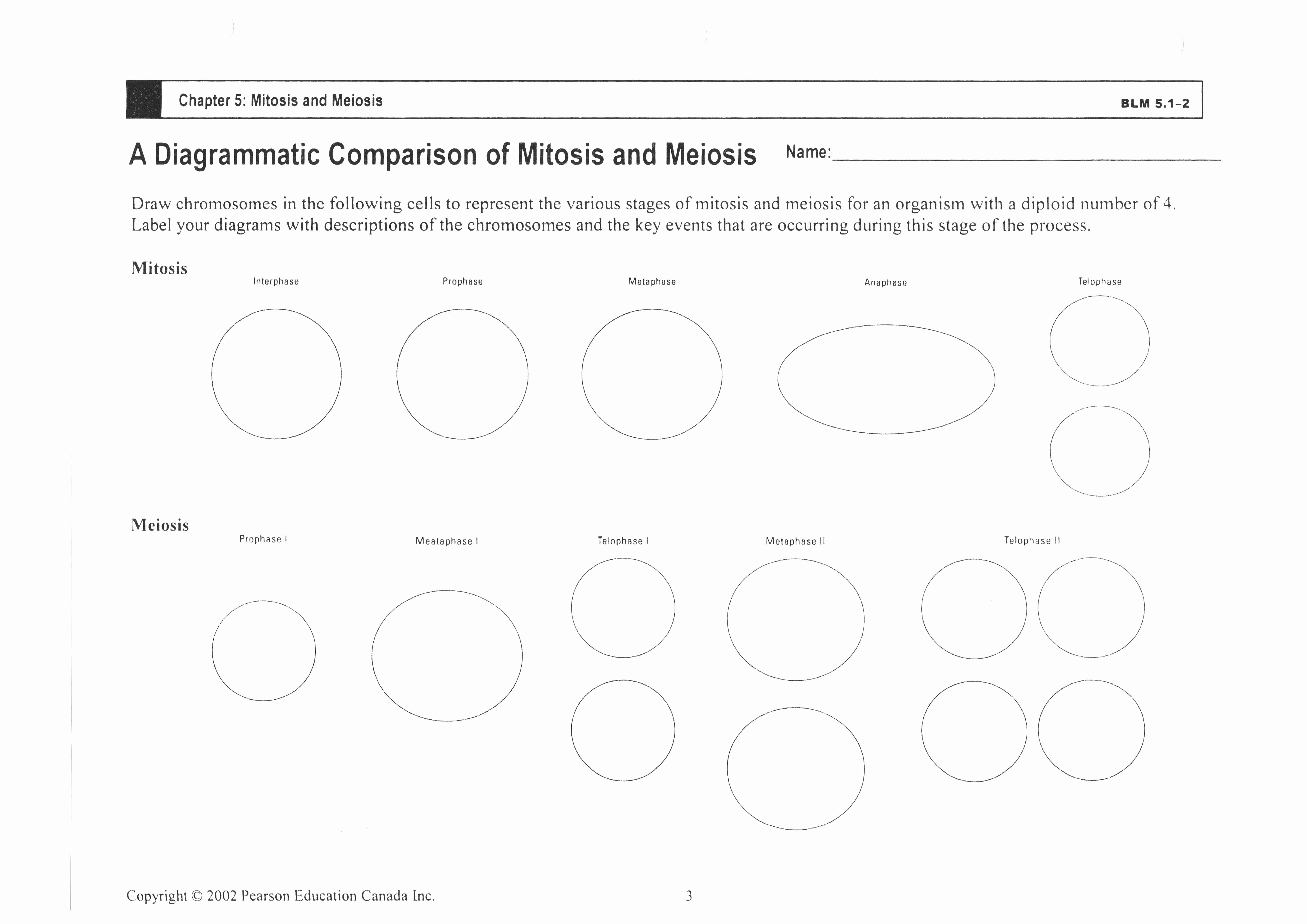 Mitosis Vs Meiosis Worksheet Answers Awesome 13 Best Of Genetics and Meiosis Worksheet Meiosis