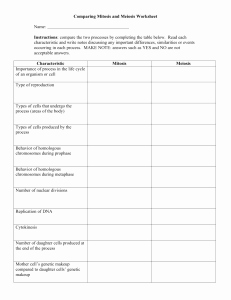Mitosis Vs Meiosis Worksheet Answers Lovely Mitosis Vs Meiosis Chart