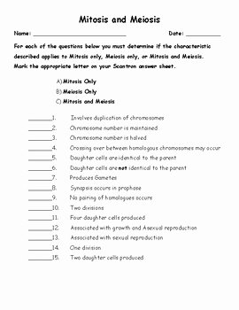 Mitosis Vs Meiosis Worksheet Answers Unique Mitosis Vs Meiosis Worksheet by Mr Smiths Reading