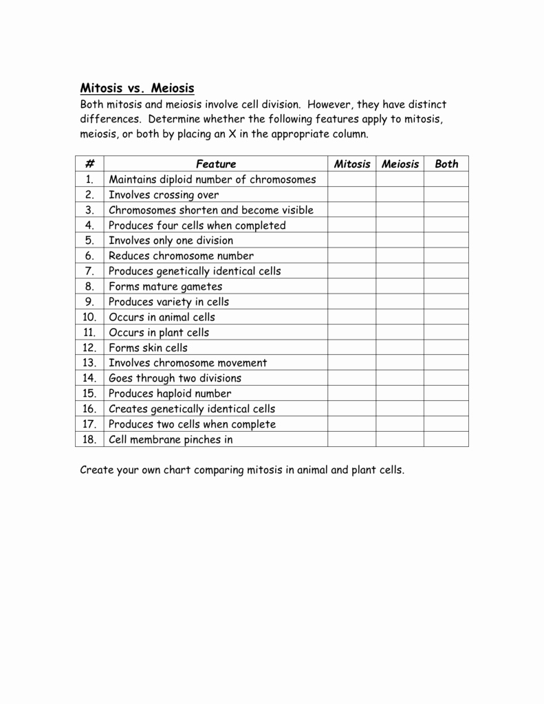 Mitosis Vs Meiosis Worksheet Answers Unique Worksheet Paring Mitosis and Meiosis Worksheet Answers