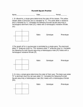 Monohybrid Cross Practice Problems Worksheet Awesome Monohybrid Cross Practice Problems by Goby S Lessons