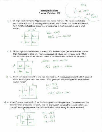 Monohybrid Cross Practice Problems Worksheet Beautiful Monohybrid Crosses Story Problems